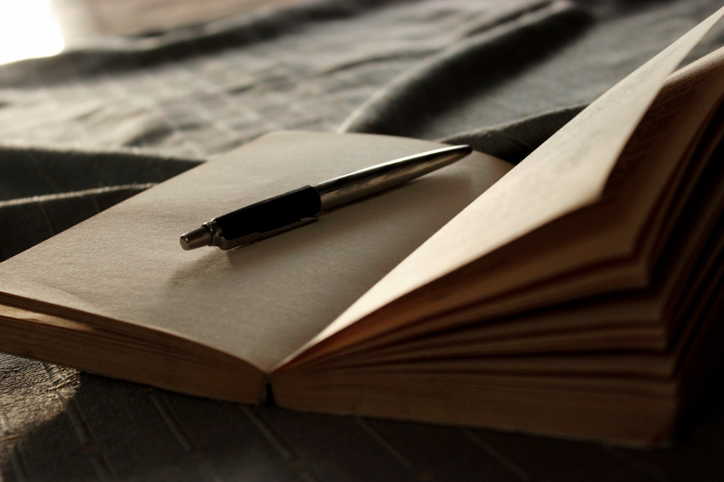 5 Must-Reads by Our Featured Author